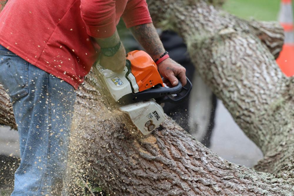 chainsaw use